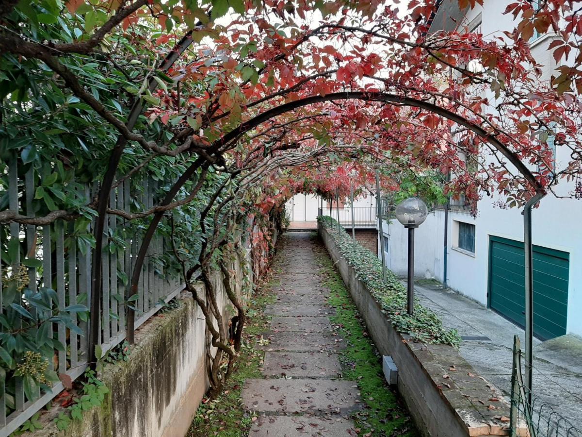 Appartamento Genziana - Con Vista Piscina E Garage Sirmione Exteriör bild